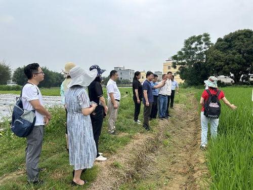 封开南丰镇新闻爆料,聚焦民生热点,共话发展新篇 第3张 封开南丰镇新闻爆料,聚焦民生热点,共话发展新篇 第3张